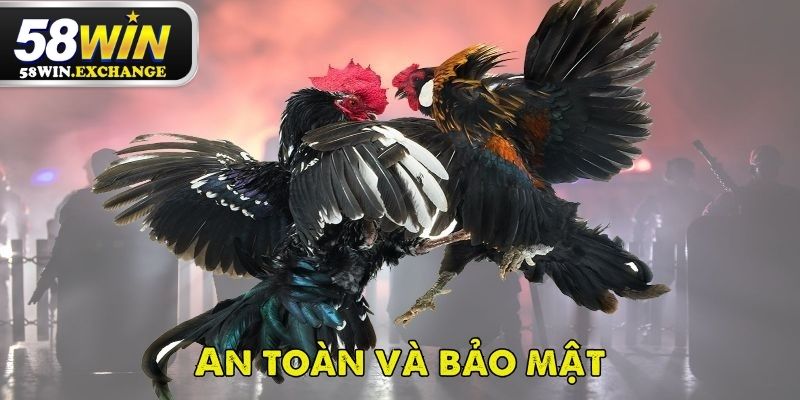 Những ưu điểm vượt bậc của đá gà 58Win