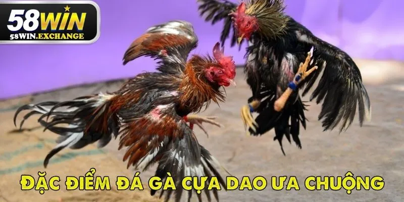 Tổng quan về đá gà cựa dao