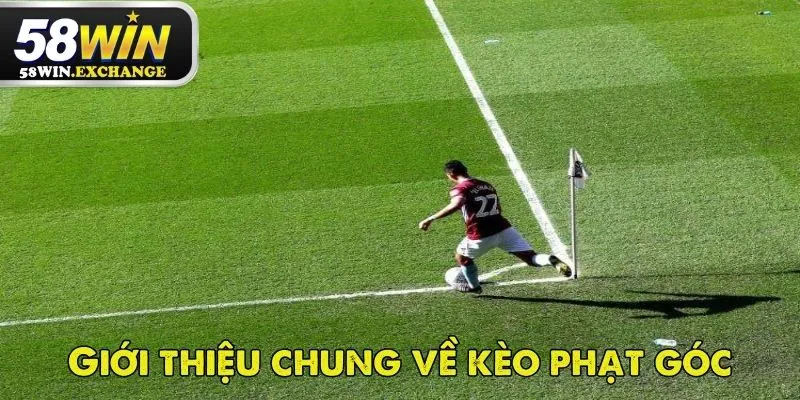 Kèo phạt góc là loại tỷ lệ cược phổ biến được nhiều người quan tâm